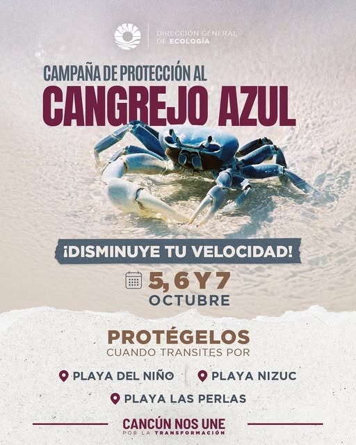 uploads/6/32/01 (2370).Jpeg